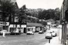 View: t12388 Common Side looking towards (right) Springvale Road