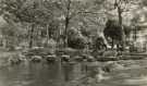 Stepping stones, Endcliffe Woods