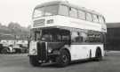 View: t14524 Sheffield Transport bus No. 113 at Pond Street Bus Station