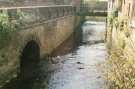 River Sheaf Walk, off Broadfield Road showing bridge to Saxon Road