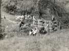 School outing, Anns Road School (latterly Anns Grove Primary School), Anns Road, Heeley, c.1928 - 1939