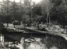 Probably Bell Hagg Quarry, off Manchester Road, Rivelin