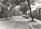 View: u11353 Unidentified street probably on Flower Estate, High Wincobank 