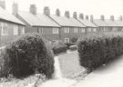 View: u11364 Unidentified street probably on Flower Estate, High Wincobank