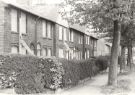 View: u11366 Unidentified street prior to demolition, probably on Flower Estate, High Wincobank