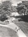 View: u11369 Footpaths, Gleadless Valley 