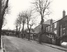 View: u11484 Burnside Avenue looking towards Norton Lee allotments