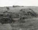 Fulwood Head Farm, Fulwood Head Road