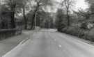 Norton Lane looking towards Norton House bend