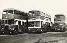 Doncaster Transport buses