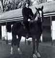 View: y13881 South Yorkshire Police: Police Constable P. Bower of the Mounted Section with his new horse, currently known as 'Victor', which is presently the subject of a name the horse competition for local children